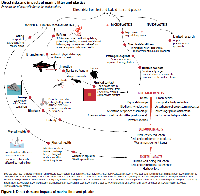 direct risks and impacts of marine litter and plastics corpseed